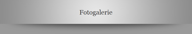 Fotogalerie